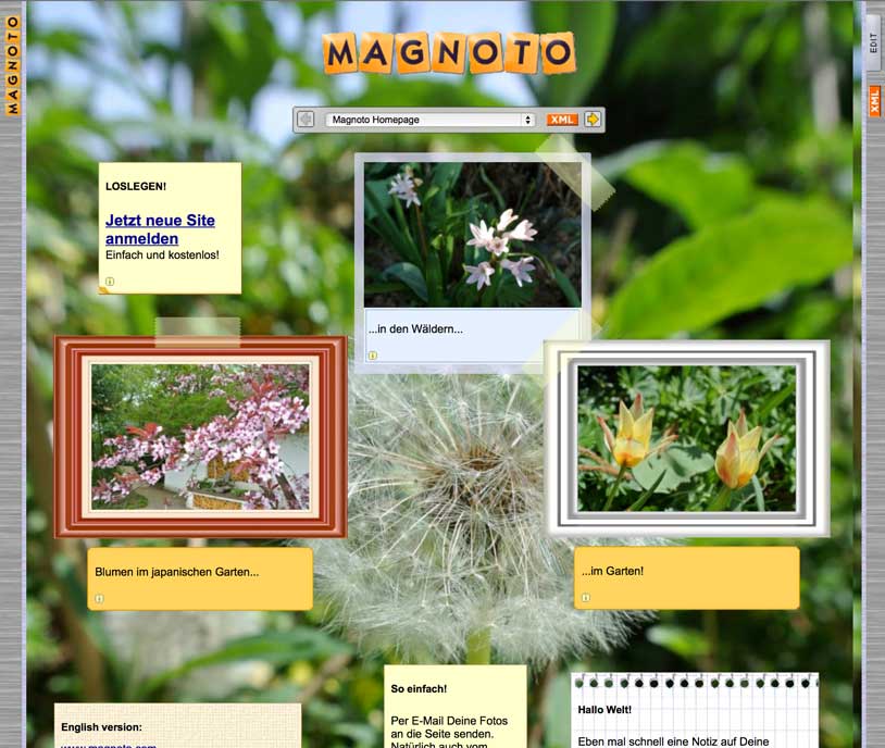Magnoto Website